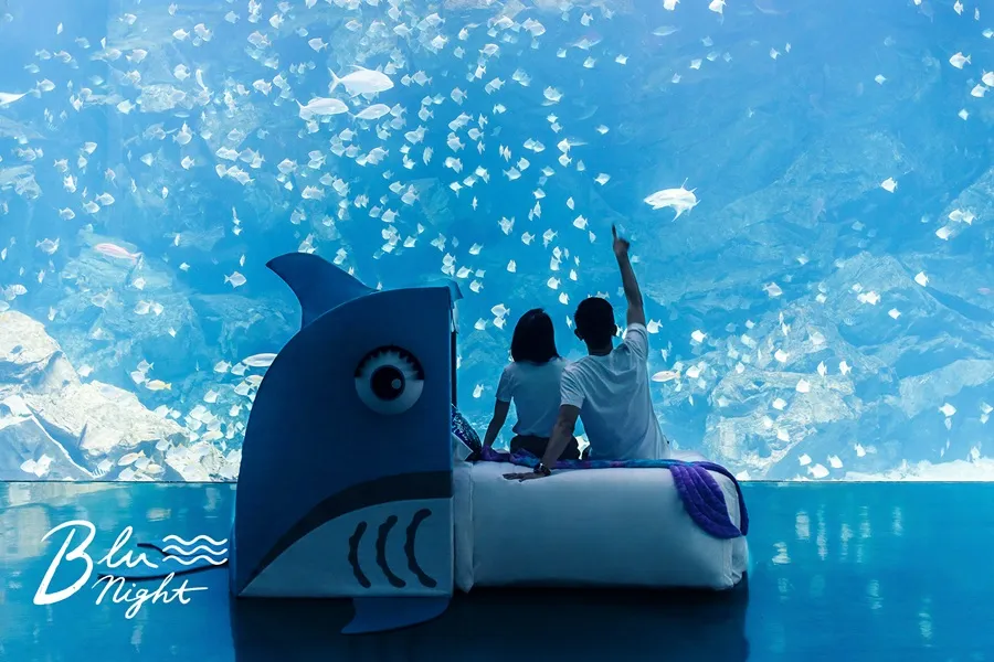 Blu Night 星級海洋眠旅