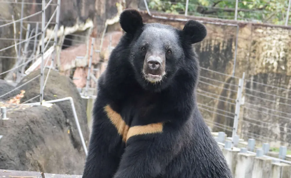 HOTEL COZZI和逸飯店│官網最優惠│線上快速訂房