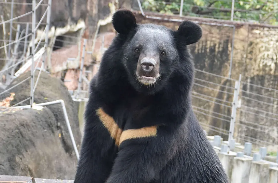 HOTEL COZZI和逸飯店│官網最優惠│線上快速訂房