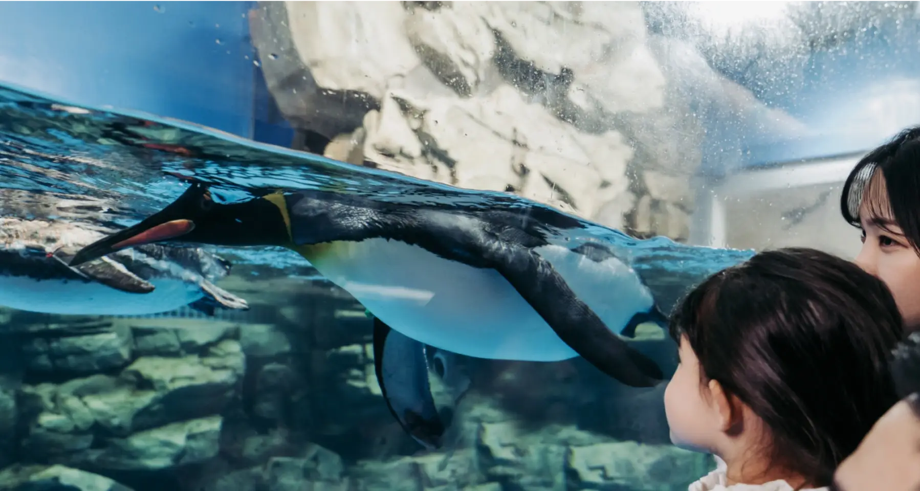 HOTEL COZZI和逸飯店│官網最優惠│線上快速訂房