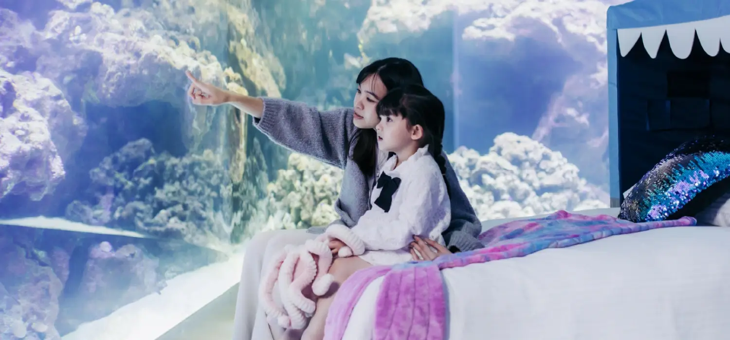 HOTEL COZZI和逸飯店│官網最優惠│線上快速訂房