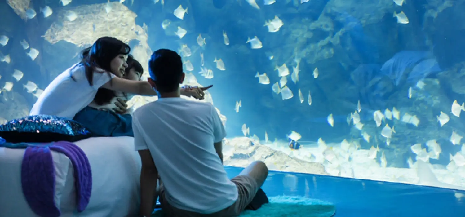 HOTEL COZZI和逸飯店│官網最優惠│線上快速訂房